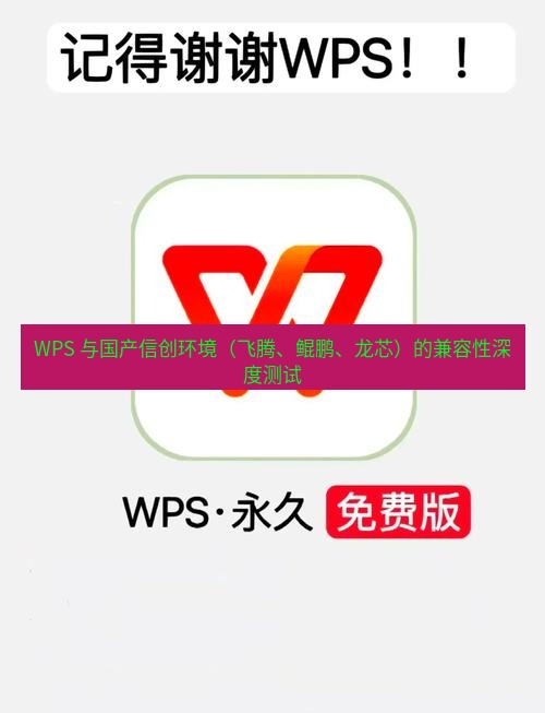 wps官网 WPS 与国产信创环境（飞腾、鲲鹏、龙芯）的兼容性深度测试