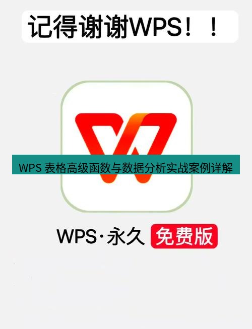 wps官网 WPS 表格高级函数与数据分析实战案例详解