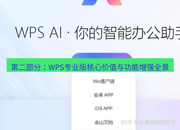 wps官网 第二部分：WPS专业版核心价值与功能增强全景