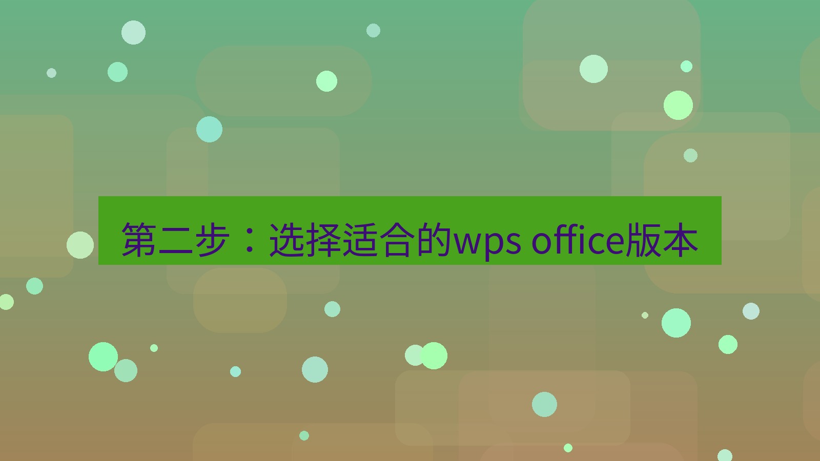 wps 第二步：选择适合的wps office版本