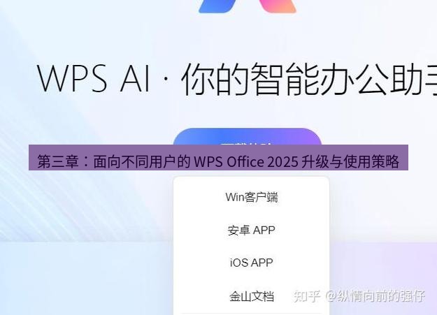 wps官网 第三章：面向不同用户的 WPS Office 2025 升级与使用策略