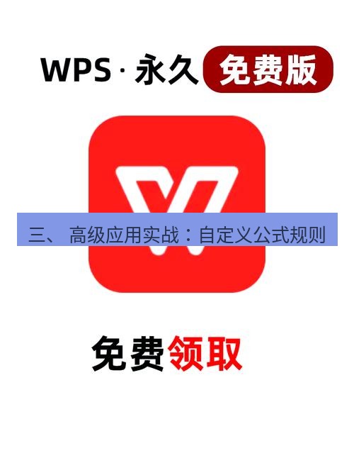 wps官网 三、 高级应用实战：自定义公式规则