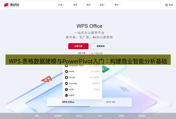 wps官网 WPS 表格数据建模与PowerPivot入门：构建商业智能分析基础