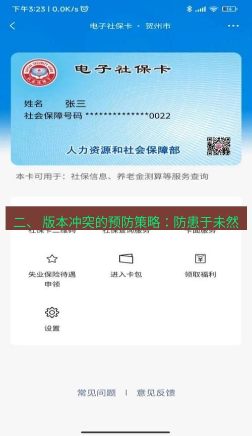 wps官网 二、 版本冲突的预防策略：防患于未然