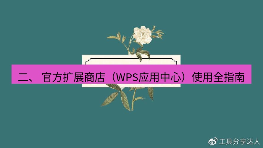 wps官网 二、 官方扩展商店（WPS应用中心）使用全指南